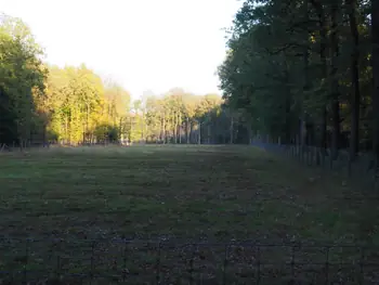 Vagevuurbos en Lippensgoed-Bulskampveld (België)